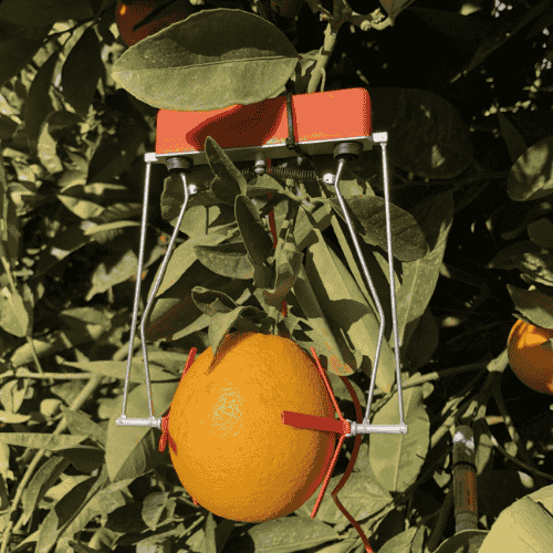 Fruit Dendrometer #Implexx #台灣代理 #樹液流感測器 #SapFlowSensor #徑度計 #Dendrometer #葉片溫度感測器 #莖幹含水量 #邊材水分 #熱脈衝探針 #HeatPulseProbe #校準型感測器 #高精度量測 #樹幹徑度計 #TrunkDendrometer #莖徑度計 #StemDendrometer #果實徑度計 #FruitDendrometer #DE1T #SD5T #SD10T #FILT #FIMT #FIST #LVDT #微米級量測 #最大日收縮量 #MDS #莖幹生長監測 #果實生長監測 #生長速率 #碳分配 #植物水分關係 #水分逆境 #乾旱研究 #植物生理學 #熱脈衝法 #DMA #森林水文 #生態水文學 #蒸散量 #作物水分管理 #作物蒸散量 #ETc #節水灌溉 #灌溉監測 #灌溉管理 #灌溉排程 #精準灌溉 #果園管理 #葡萄園管理 #杏仁園 #芒果 #施肥管理 #採收管理 #果實分級 #採後儲藏 #果實品質 #產量提升 #作物品質 #SDI12 #IoT農業 #IoT環境監測 #LoRaWAN #NB_IoT #低功耗 #野外監測 #水分儲存 #科研儀器 #環境監測設備 #台灣 #農業科技 #智慧農業 #精準農業 #AgTech #SmartFarming #PlantScience #PlantPhysiology #EnvironmentalMonitoring #FieldResearch #EcoHydrology #氣候變遷