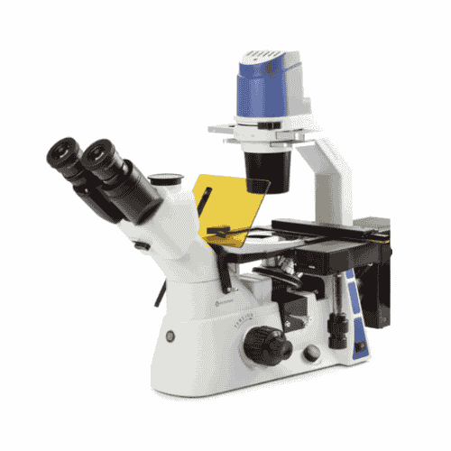 Oxion Inverso