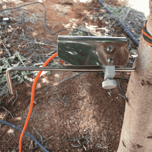 Trunk Dendrometer. #Implexx #台灣代理 #樹液流感測器 #SapFlowSensor #徑度計 #Dendrometer #葉片溫度感測器 #莖幹含水量 #邊材水分 #熱脈衝探針 #HeatPulseProbe #校準型感測器 #高精度量測 #樹幹徑度計 #TrunkDendrometer #莖徑度計 #StemDendrometer #果實徑度計 #FruitDendrometer #DE1T #SD5T #SD10T #FILT #FIMT #FIST #LVDT #微米級量測 #最大日收縮量 #MDS #莖幹生長監測 #果實生長監測 #生長速率 #碳分配 #植物水分關係 #水分逆境 #乾旱研究 #植物生理學 #熱脈衝法 #DMA #森林水文 #生態水文學 #蒸散量 #作物水分管理 #作物蒸散量 #ETc #節水灌溉 #灌溉監測 #灌溉管理 #灌溉排程 #精準灌溉 #果園管理 #葡萄園管理 #杏仁園 #芒果 #施肥管理 #採收管理 #果實分級 #採後儲藏 #果實品質 #產量提升 #作物品質 #SDI12 #IoT農業 #IoT環境監測 #LoRaWAN #NB_IoT #低功耗 #野外監測 #水分儲存 #科研儀器 #環境監測設備 #台灣 #農業科技 #智慧農業 #精準農業 #AgTech #SmartFarming #PlantScience #PlantPhysiology #EnvironmentalMonitoring #FieldResearch #EcoHydrology #氣候變遷