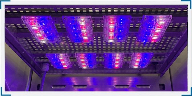 imgi_25_FIT_P_LED_25 #KKS115FIT #KKS240FIT #KKS400FIT #KKS500FIT #KKS700FIT #KKS750FIT #KKS1200FIT #KKS1450FIT #KKS115植物生長箱 #KKS240植物生長箱 #KKS400植物生長箱 #KKS500植物生長箱 #KKS700植物生長箱 #KKS750植物生長箱 #KKS1200植物生長箱 #KKS1450植物生長箱 #FITP層板式LED光照 #FITS側壁式LED光照 #FITD門板式LED光照 #FITDS門板側壁複合光照 #多色LED植物生長燈 #冷白光4000K #多色光LED模組 #紅光657nm #紅光727nm #藍光450nm #光照強度可調植物生長箱 #晝夜模擬植物生長箱 #溫濕度光照可程式控制