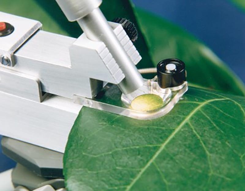 #PocketPEA #葉綠素螢光儀 #Hansatech 儀器 #Fv/Fm 測定 #OJIP 曲線分析 #植物逆境檢測 #手持式光合儀 #連續激發螢光儀 #田間植物篩選儀 #植物生理實驗設備 #藍芽無線螢光儀 #PEAPlus 分析軟體 #葉綠素螢光儀 #PocketPEA #Hansatech #手持式檢測儀 #植物生理儀器 #FvFm光合效率 #OJIP分析 #農業檢測儀器 #植物逆境篩選 #藍牙資料傳輸 #田間可攜式儀器 #光合作用研究