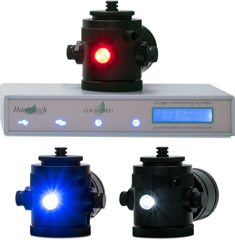 #Oxyview1 #OxythermP #Chloroview1 #Chlorolab2Plus #Chlorolab3Plus #Leafview1 #Leaflab2 #Hansatech #Hansatech台灣 #PPSystems #氧電極測量系統 #光合作用測量 #呼吸作用測定 #液相氧測量 #氣相氧測量 #植物生理學 #藻類研究 #葉綠體研究 #粒線體呼吸 #生物能量學 #科研儀器 #植物科學 #教學實驗 #B2B儀器 #台灣科研 #植物生理研究 #光合作用研究 #Clark氧電極 #光合放氧 #呼吸耗氧 #OxyTrace軟體 #表觀量子產率
