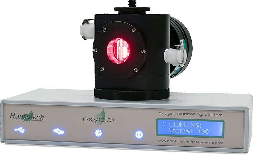 #Oxyview1 #OxythermP #Chloroview1 #Chlorolab2Plus #Chlorolab3Plus #Leafview1 #Leaflab2 #Hansatech #Hansatech台灣 #PPSystems #氧電極測量系統 #光合作用測量 #呼吸作用測定 #液相氧測量 #氣相氧測量 #植物生理學 #藻類研究 #葉綠體研究 #粒線體呼吸 #生物能量學 #科研儀器 #植物科學 #教學實驗 #B2B儀器 #台灣科研 #植物生理研究 #光合作用研究 #Clark氧電極 #光合放氧 #呼吸耗氧 #OxyTrace軟體 #表觀量子產率