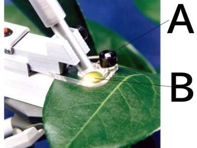FMS2 pulus #Hansatech #FMS2Plus #野外螢光儀 #PAM螢光計 #葉綠素螢光 #光合作用測量 #CIRAS連動 #HSL腳本 #FvFm #ETR #NPQ #植物生理 #田間調查 #非破壞性檢測 #氣體交換 #台灣科學儀器 #農業科技 #生態監測 #PSII效率 #攜帶式儀器 #脈衝調變式螢光儀 #FMS2Plus #Hansatech #田間可攜式儀器 #PAM螢光儀 #FvFm光合效率 #農業檢測儀器 #植物生理儀器 #HSL自訂協定 #田間植物篩選 #電池供電螢光儀 #光合作用研究 #如何使用FMS2螢光儀測量光合作用 #便攜式葉綠素螢光儀推薦 #FMS2螢光儀在農業研究的應用 #葉片暗適應螢光測定方法 #光合作用螢光分析設備比較 #田間可攜式葉綠素螢光儀推薦 #FMS2+ 規格與價格 #電池供電PAM螢光儀田間應用 #FMS2+與CIRAS同步量測 #葉綠素螢光儀台灣代理商 #如何自訂HSL量測協定 #田間暗適應葉夾量測方式 #USB連接Windows螢光分析軟體 #光纖插入氣體交換腔室螢光量測 #獨立操作免電腦葉綠素螢光儀